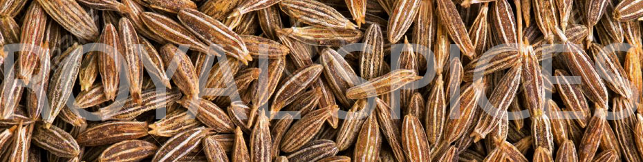 USA Supreme Quality 99% Sortex Cumin Seed from Iran
